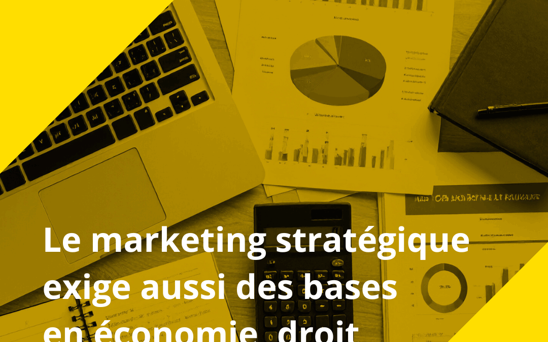 Pourquoi les compétences transversales (économie, droit, comptabilité) sont essentielles pour réussir le Brevet fédéral en marketing